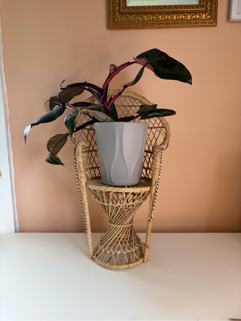 🦚Mini Peacock Chair🦚